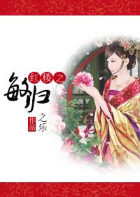 红楼之贾敏去后